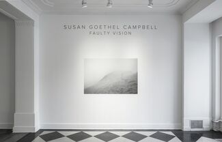 Susan Goethel Campbell: Faulty Vision, installation view