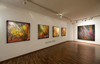Marta KUCSORA Imprints, installation view