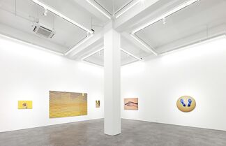 Zhang Hui, installation view