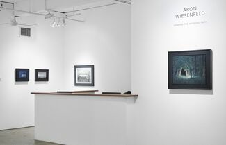 Aron Wiesenfeld - Unwind the Winding Path, installation view