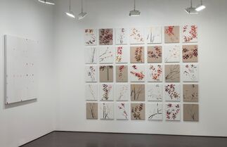 Roberto Caracciolo: Something Quiet, installation view
