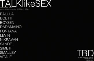 TALKlikeSEX, installation view