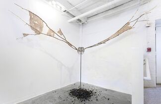 GEOMETER // Steven Pestana, installation view