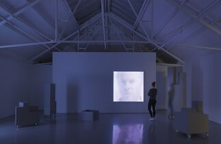 Gabriel Lester: Forced Perspective - Encounter of Kinds, installation view