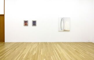 Exalted Position, installation view