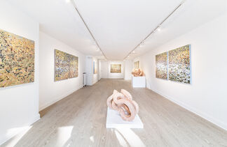 Intertwined, installation view