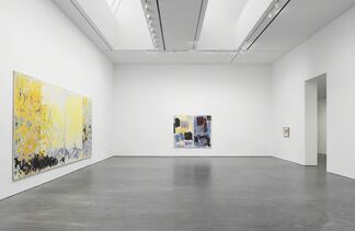 Joan Mitchell: I carry my landscapes around with me, installation view