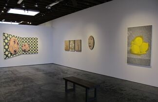 "THAT'S AN EXCELLENT QUESTION!", installation view