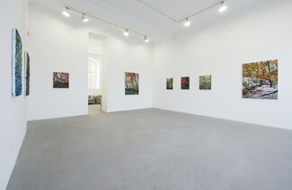 Robert Terry: The Landscape, installation view