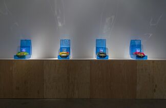 Carl Cheng: Nature is Everything - Everything is Nature, installation view