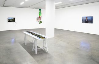 The Naturalists, installation view