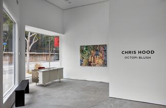 CHRIS HOOD | OCTOPI BLUSH, installation view