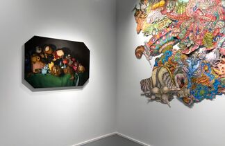 BARELY IMAGINED BEINGS, installation view