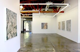 David Maisel: The Fall, installation view