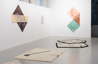 "The seed can be initialized randomly II", installation view