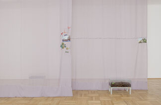 ISA MELSHEIMER - Plant Hunters, installation view