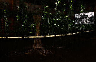 Demilitarized Zone (DMZ) Project –夢의 庭園 / Dreaming of Earth, installation view