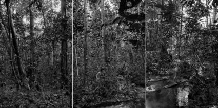 Renata Abreu, ‘Stripped Of The Flesh’, 2020