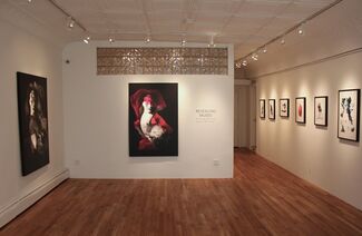 REVEALING MUSES, installation view