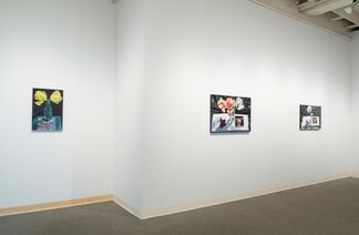Sherrie Wolf: Postcards from Paris, installation view