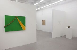 On the other side of languge, installation view