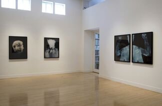 David Maisel: History's Shadow, installation view