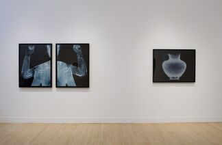 David Maisel: History's Shadow, installation view