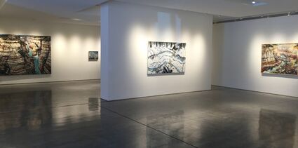 Chester Arnold and Dan Douke, installation view