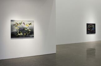 RESILIENCE, installation view
