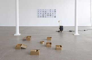 Liliana Moro - Réaction #3, installation view