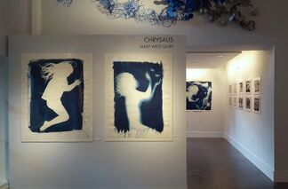 CHRYSALIS: Mary West Quin, installation view