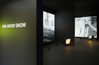 Fire Under Snow: New Film and Video Works at Louisiana, installation view