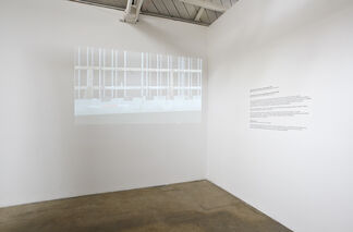 Nancy Popp, installation view