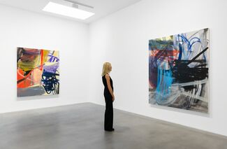 a dream of, installation view