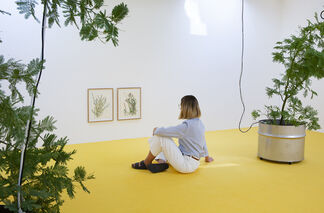 Brutal Family Roots, installation view