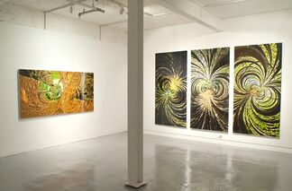 DO YANG ZU <INSECT EYES-The Origin of Sight>, installation view