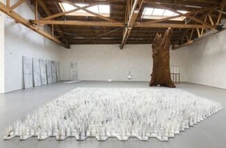 Cao / Humanity, installation view