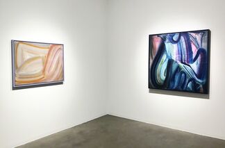 Fran O'Neill, Divergence, installation view