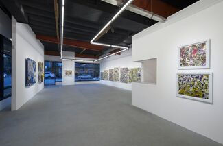 Gina Ruggeri, installation view