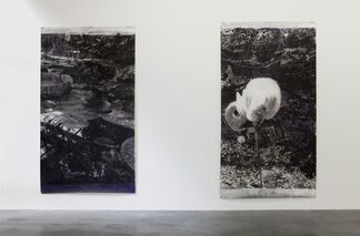Birde Vanheerswynghels / The cat with nine lives, installation view