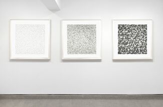 SEGMENTS Features works by three artists: Sol LeWitt, Giulio Paolini and Haim Steinbach., installation view
