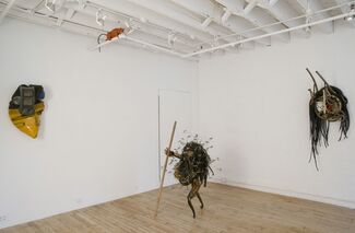 The Natural: Johnston Foster, installation view
