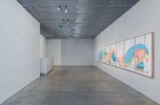 Jorinde Voigt: Song of the Earth, installation view