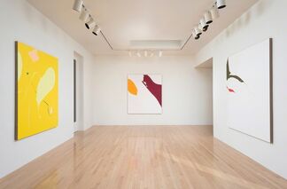 Rogue Wave Projects: Heather Gwen Martin, installation view
