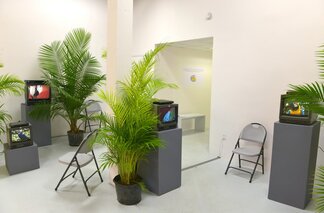 IRL Institute at Moving Image New York 2016, installation view