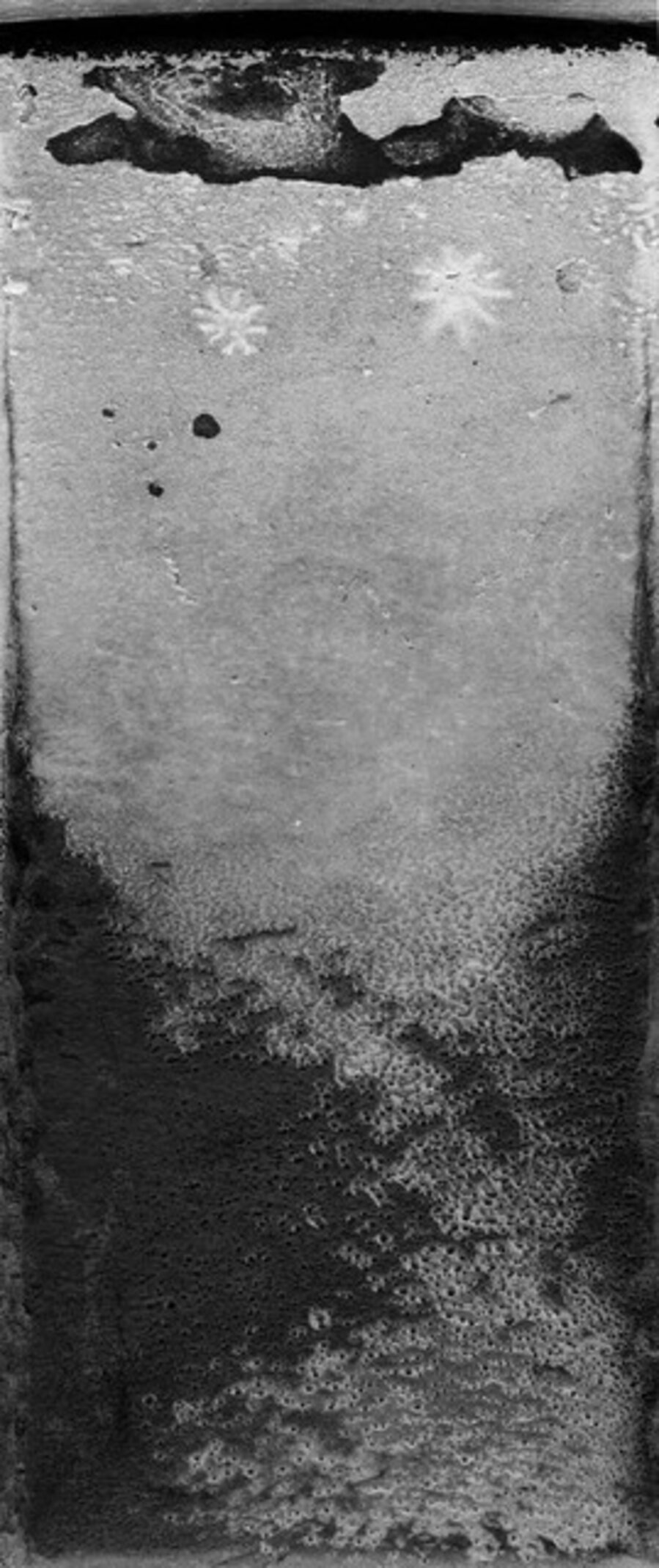 Untitled (macchinetta)