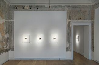 Rasim Aksan, 'Narcissus', installation view