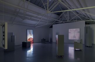 Gabriel Lester: Forced Perspective - Encounter of Kinds, installation view