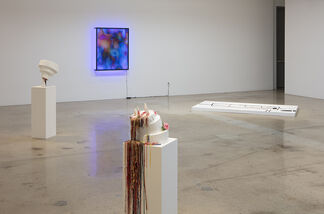 Extracting / Abstracting, installation view