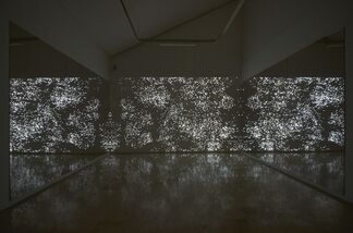 Shadows of Light, installation view